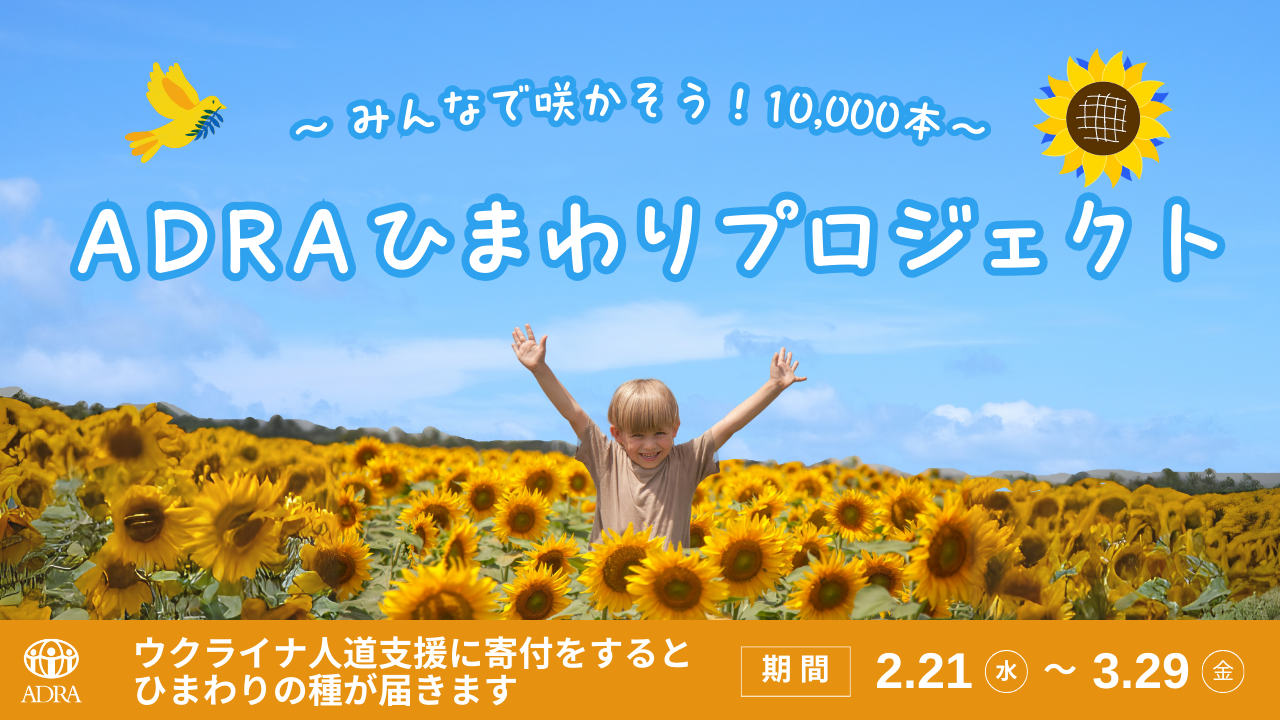 ウクライナ支援】ADRA ひまわりプロジェクト〜 みんなで咲かそう