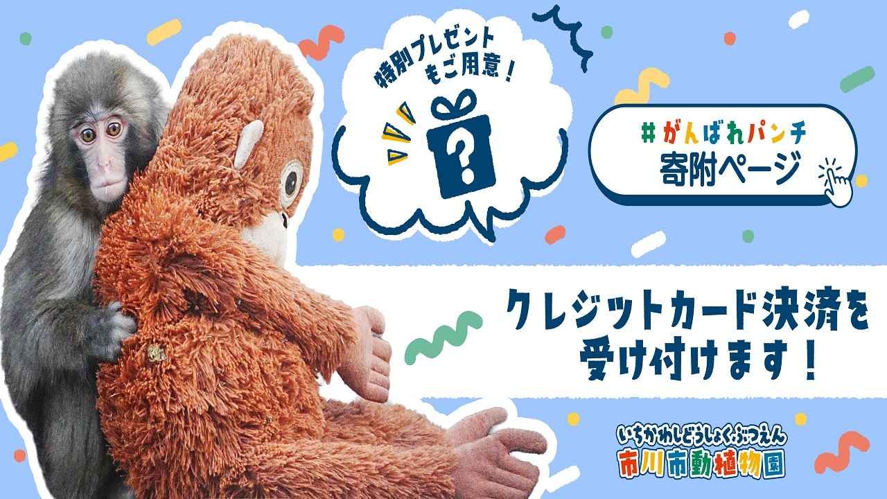 がんばれパンチ Version2 ＋動物園マップ付き がんばれパンチ 寄附に関するご案内 | 市川市動植物園