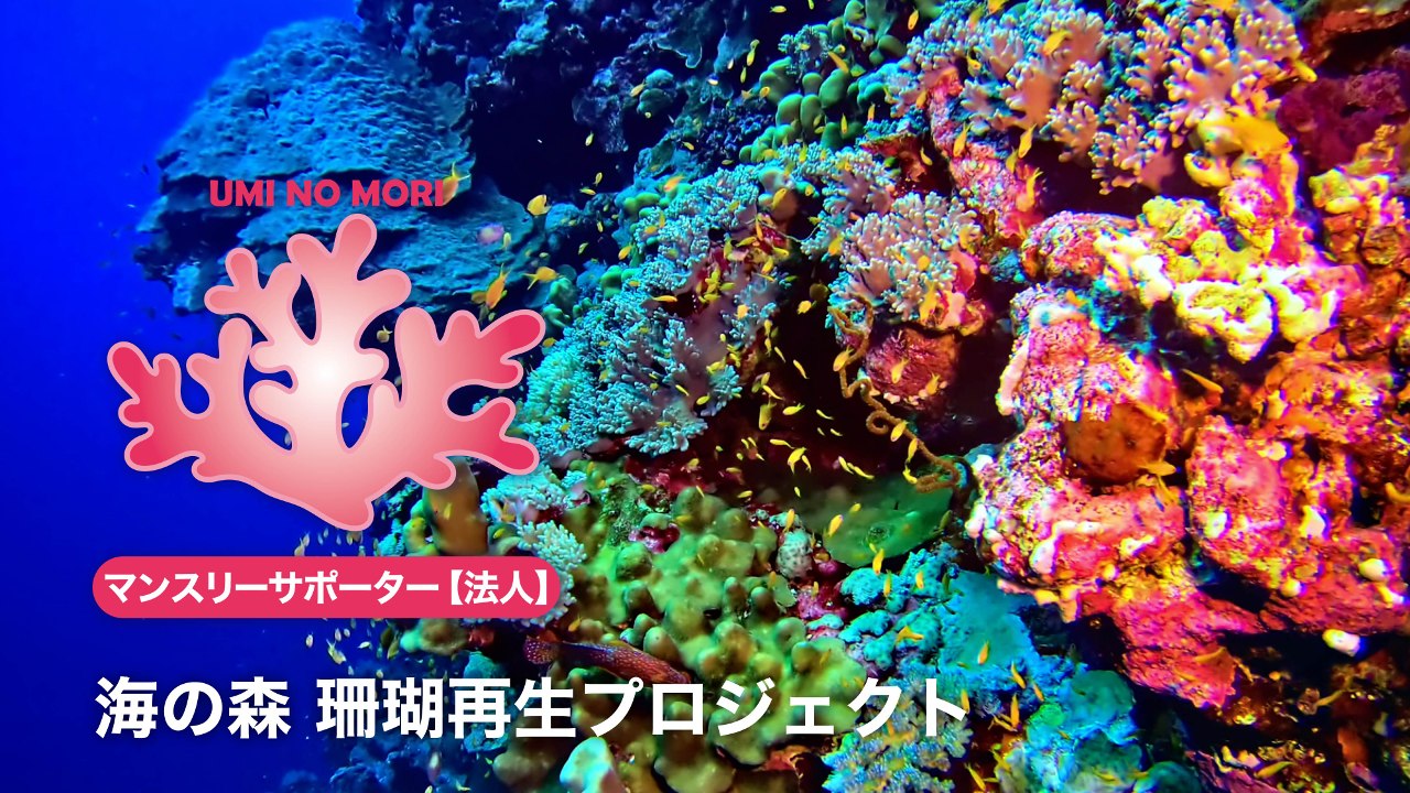 img-cover