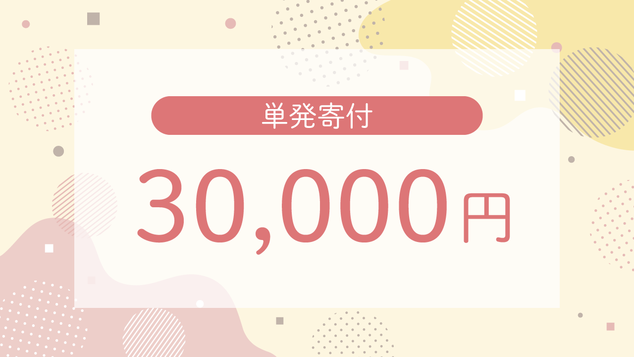 単発寄付 30,000円・リターンはいりません！応援コース