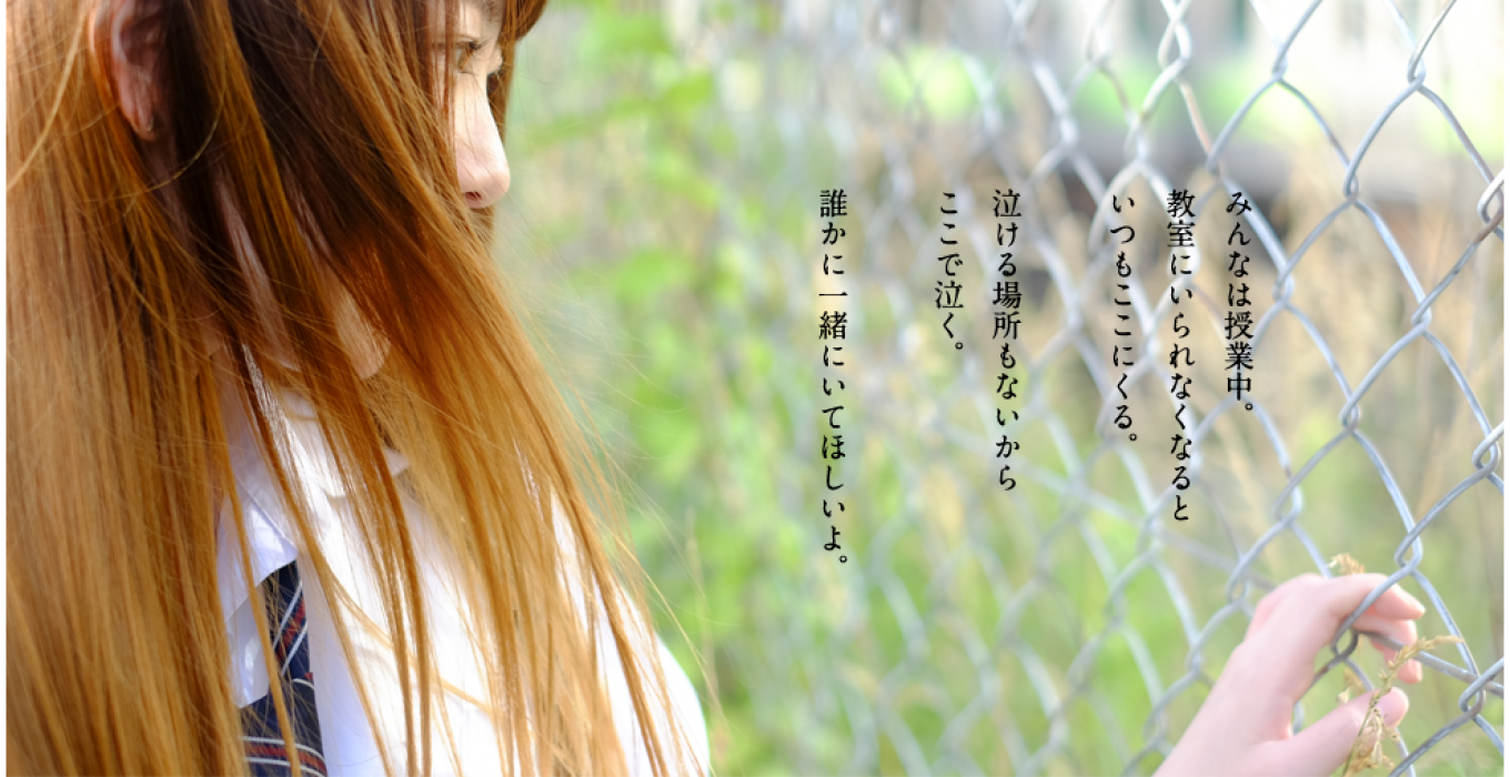 img-cover
