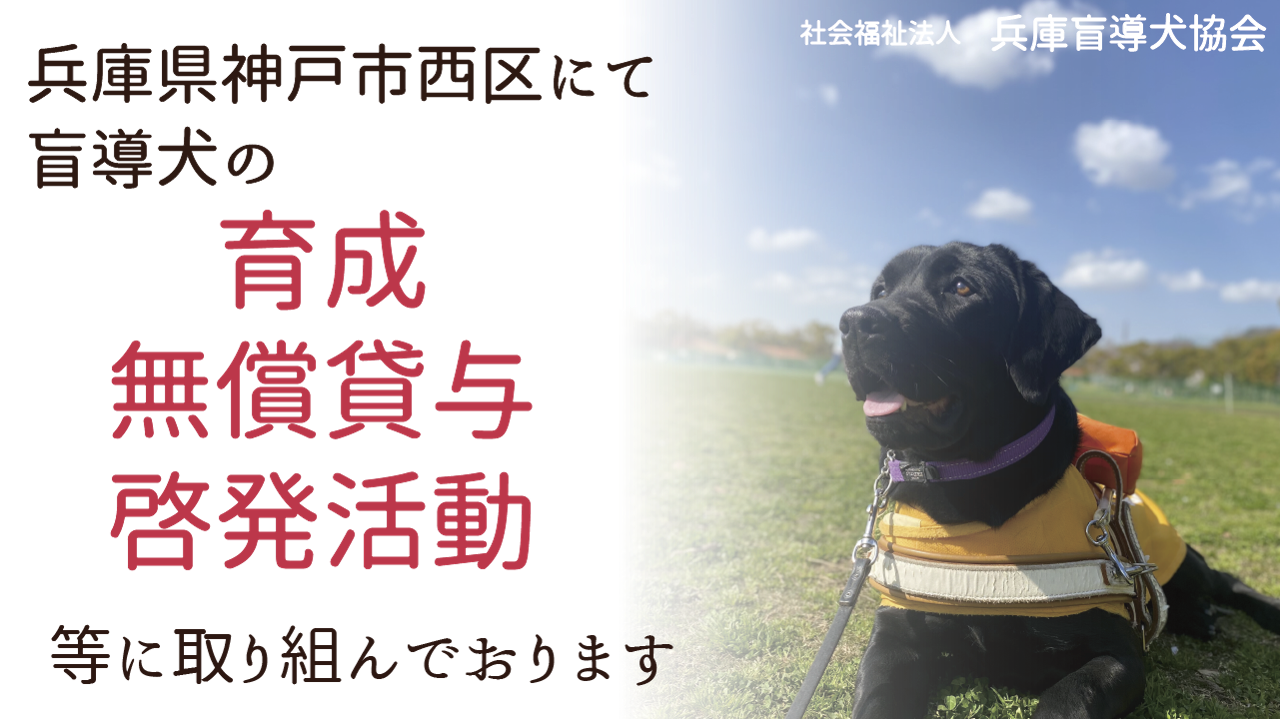 img-cover
