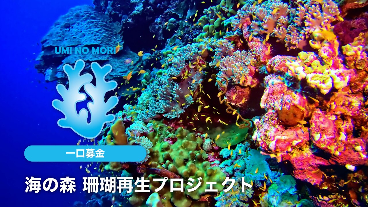 img-cover