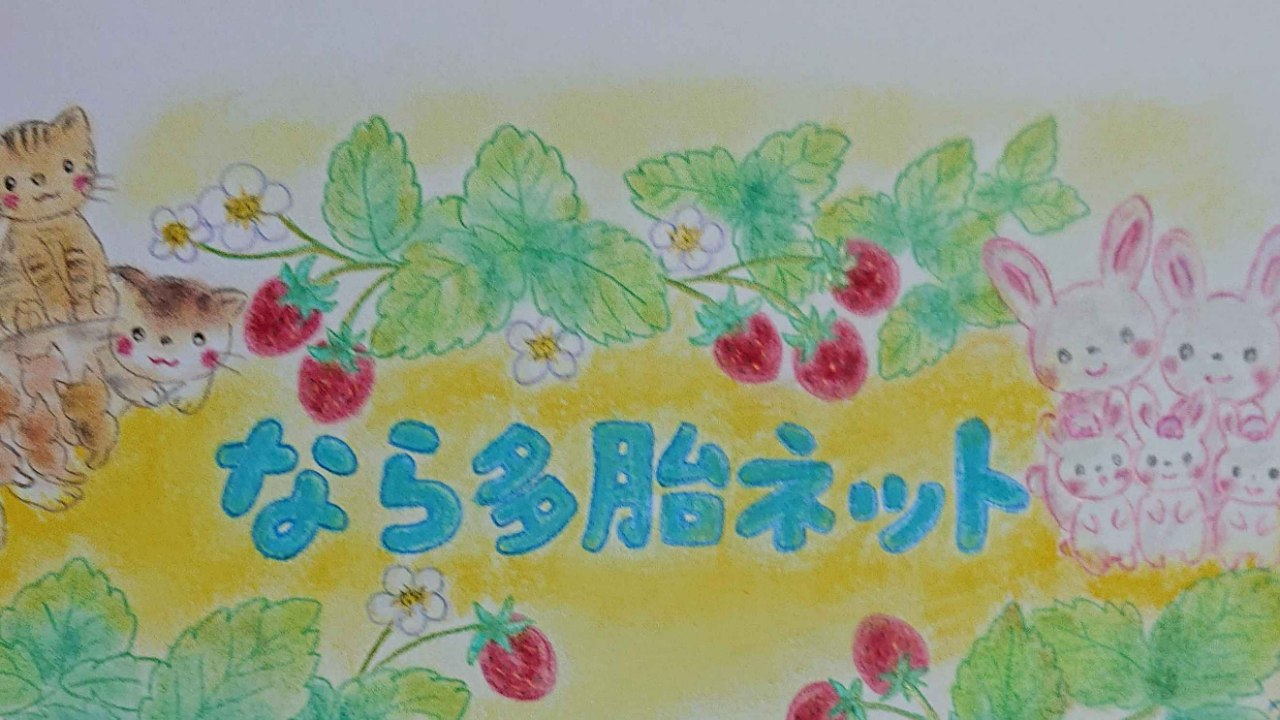 img-cover