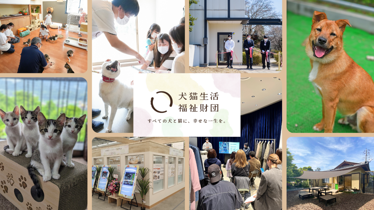 応援コメント | 【毎月のご寄付（定期寄付）】 犬猫生活福祉財団