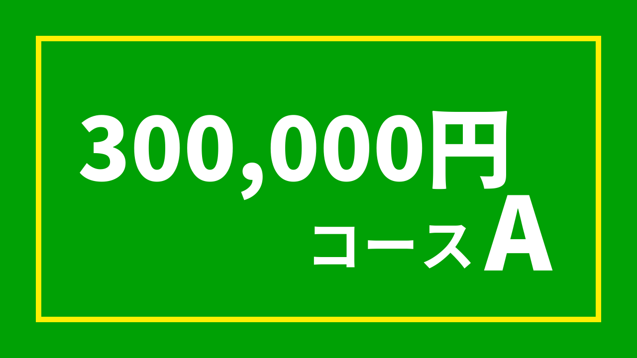 【杉浦プロ関連返礼品あり】30万円コースA（300,000円）