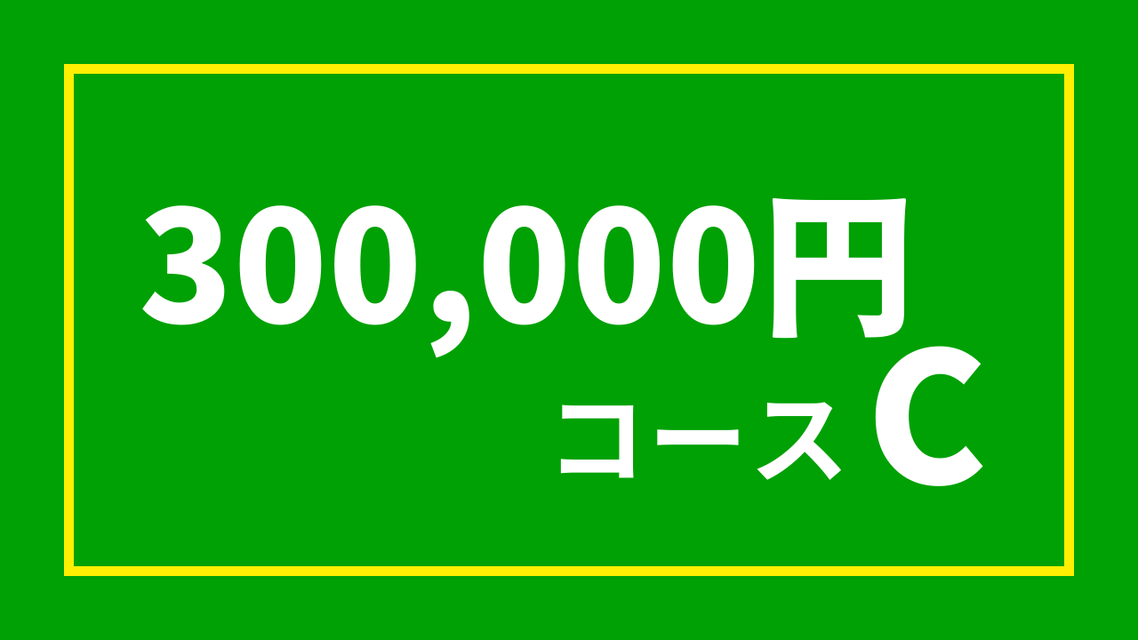 【杉浦プロ関連返礼品あり】30万円コースC（300,000円）