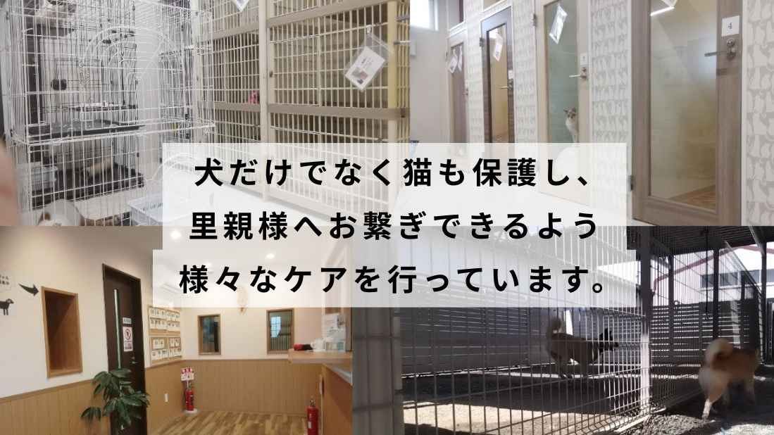行き場のない犬・猫に新たな居場所を！そして殺処分ゼロにむけて