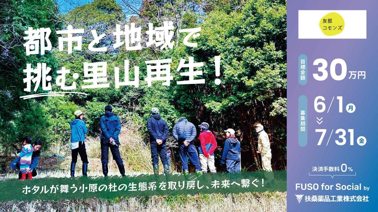 都市と地域で挑む里山再生!ホタルが舞う小原の杜の生態系を取り戻し、未来へ繋ぐ!