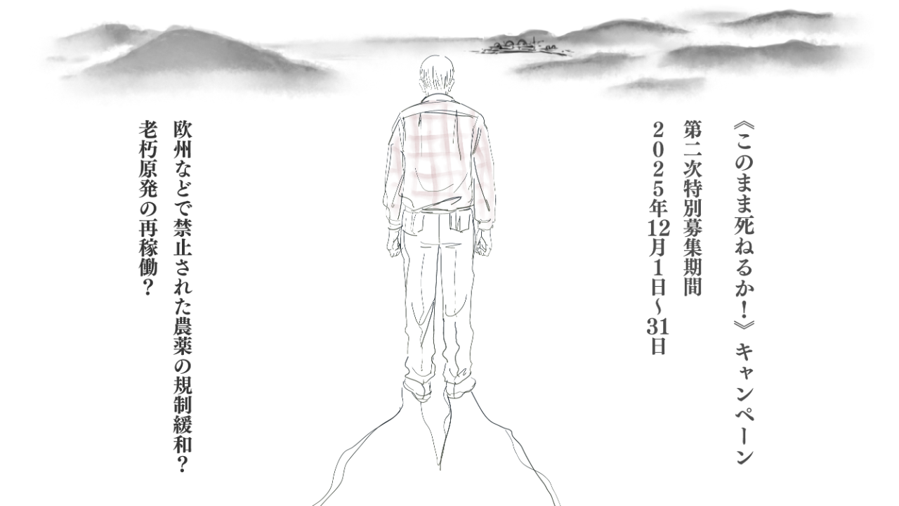 img-cover