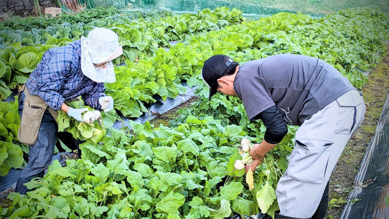 少子高齢化が進み、消滅の一途をたどる町に農業・観光・福祉で地域再生