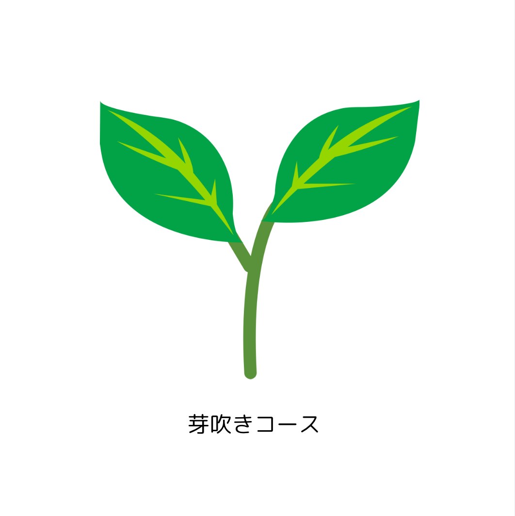 健やかな芽吹きコース